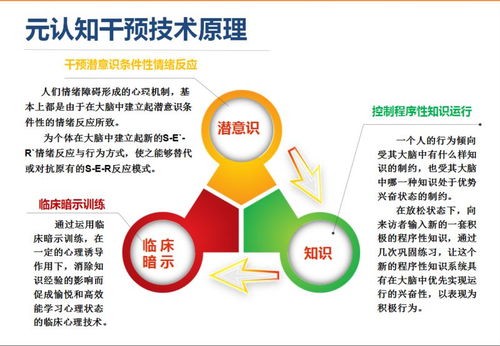 全國第二期家庭元認知心理教育技術落地培訓即將在杭州舉行